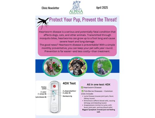 Protect Your Pup, Prevent the Threat!